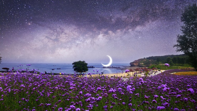 Летняя ночь