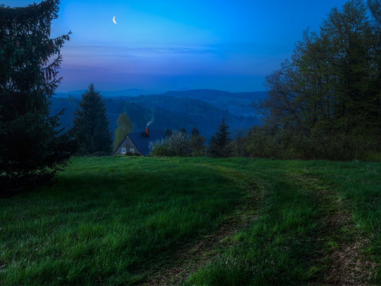 Поляна в лесу ночью