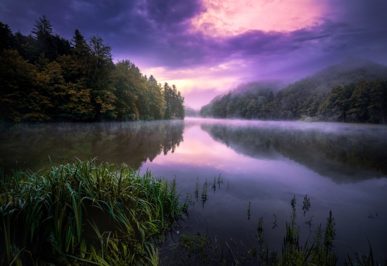 Вечерний лес с озером