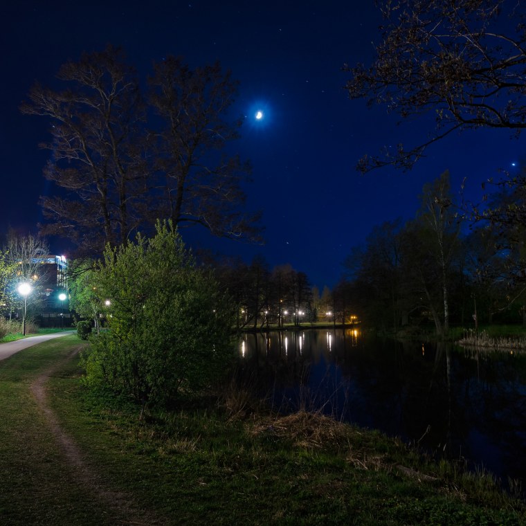 Ночная природа