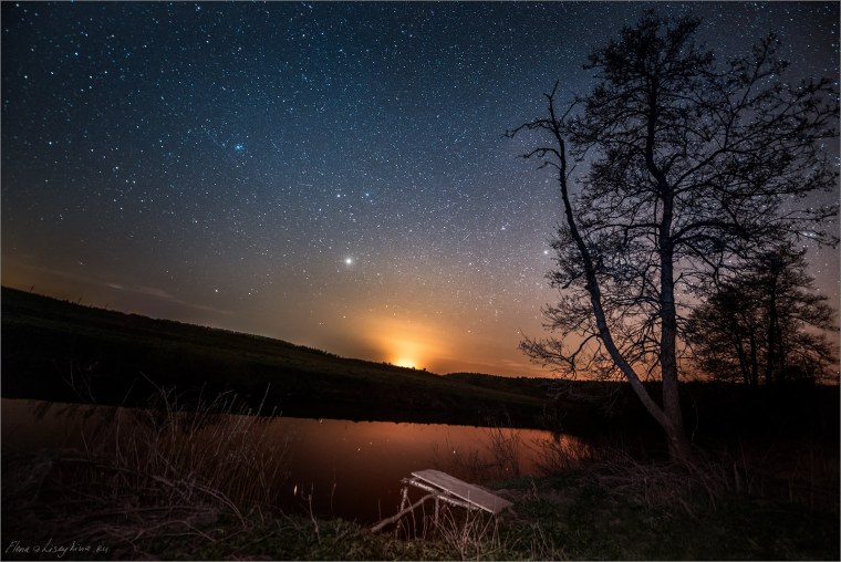 Летняя ночь