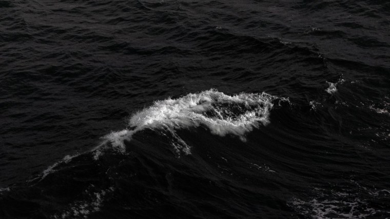 Обои на рабочий стол тамблер