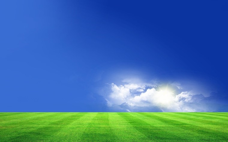 Поле Windows XP