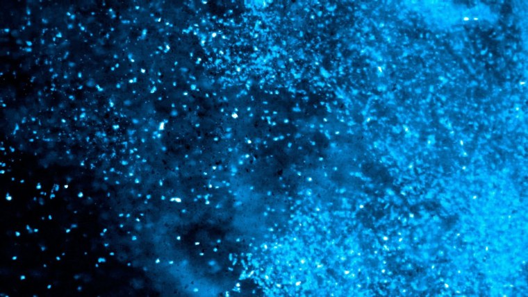 Цветные блестки