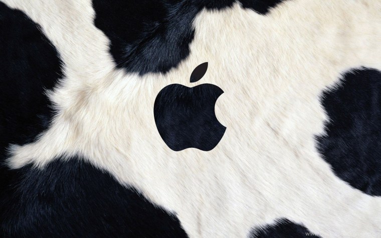 Динамические обои для iphone