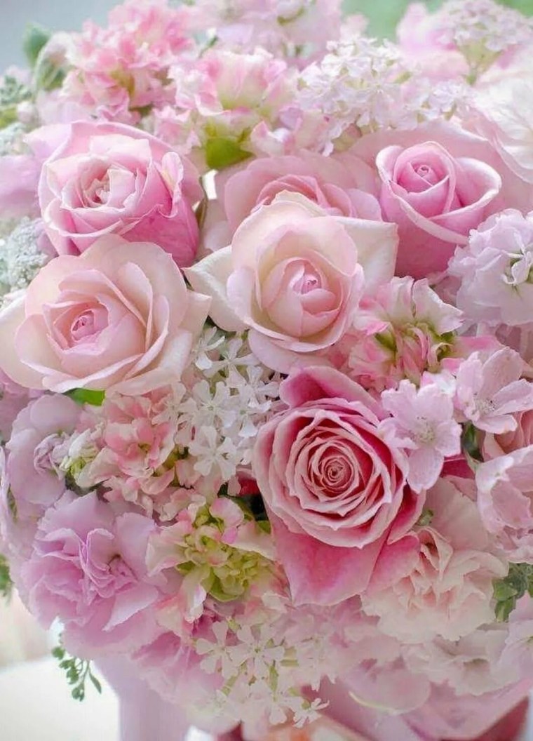 Ранункулюс нежный