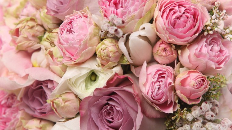 Розовые цветы