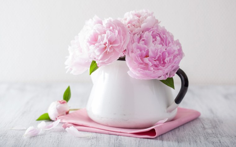 Нежный цветок