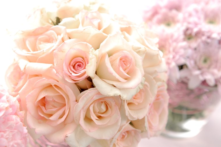 Нежный бутон