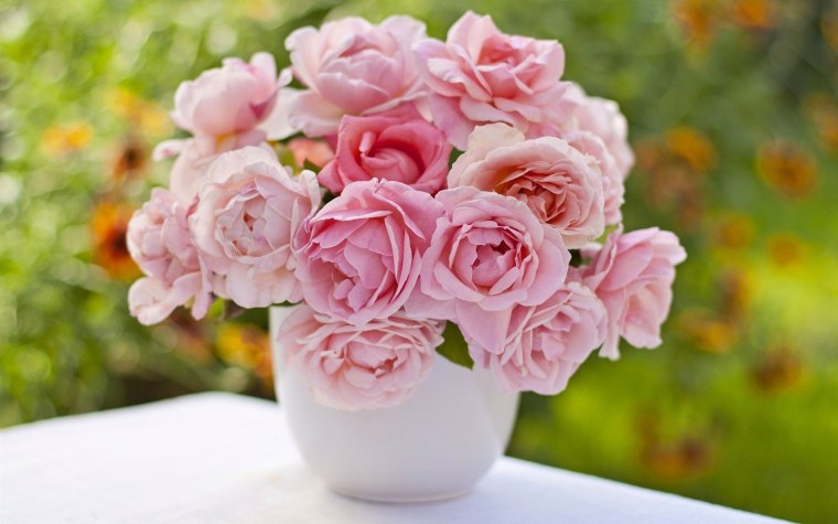 Роза Пич экспрессион