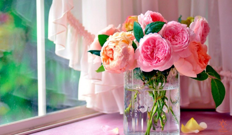 Кустовые розы