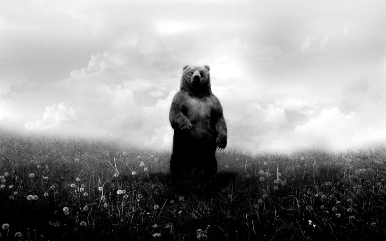 Медведь на рабочий стол