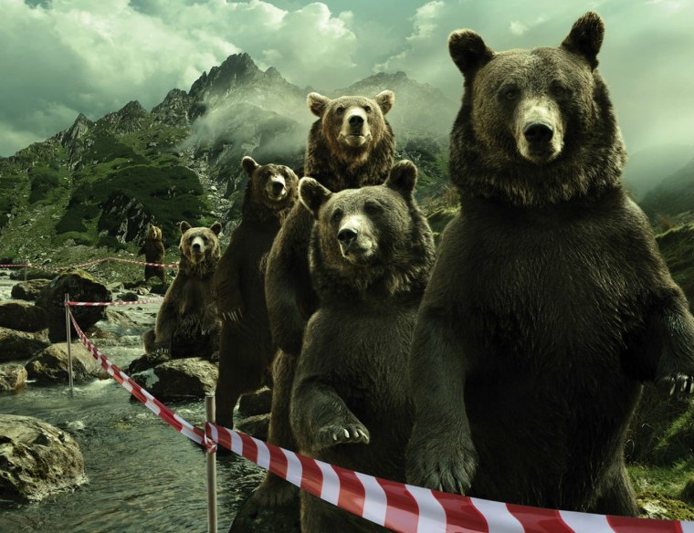 Медведь арт