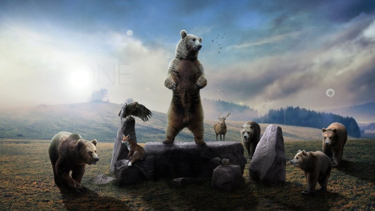 Короткомордый медведь и бурый медведь