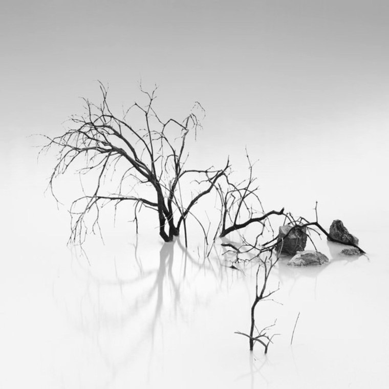 Природа монохром