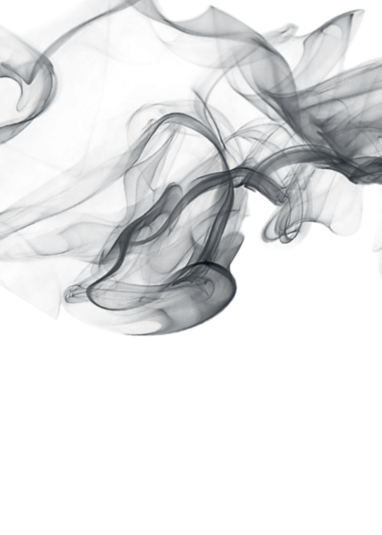 Монохромные розы