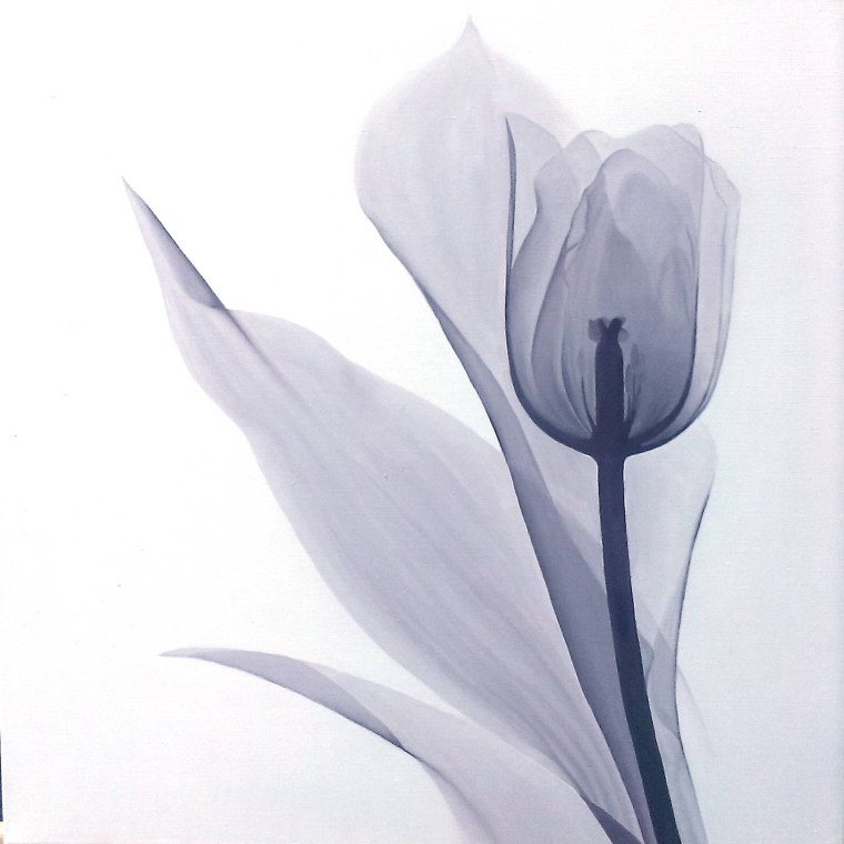 Город Графика