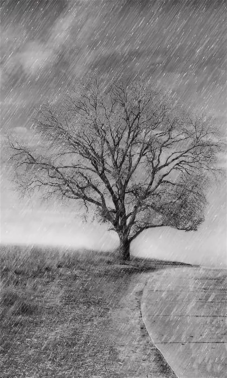 Состояние природы