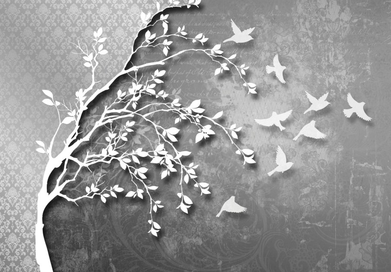 Фотообои черно-белое дерево