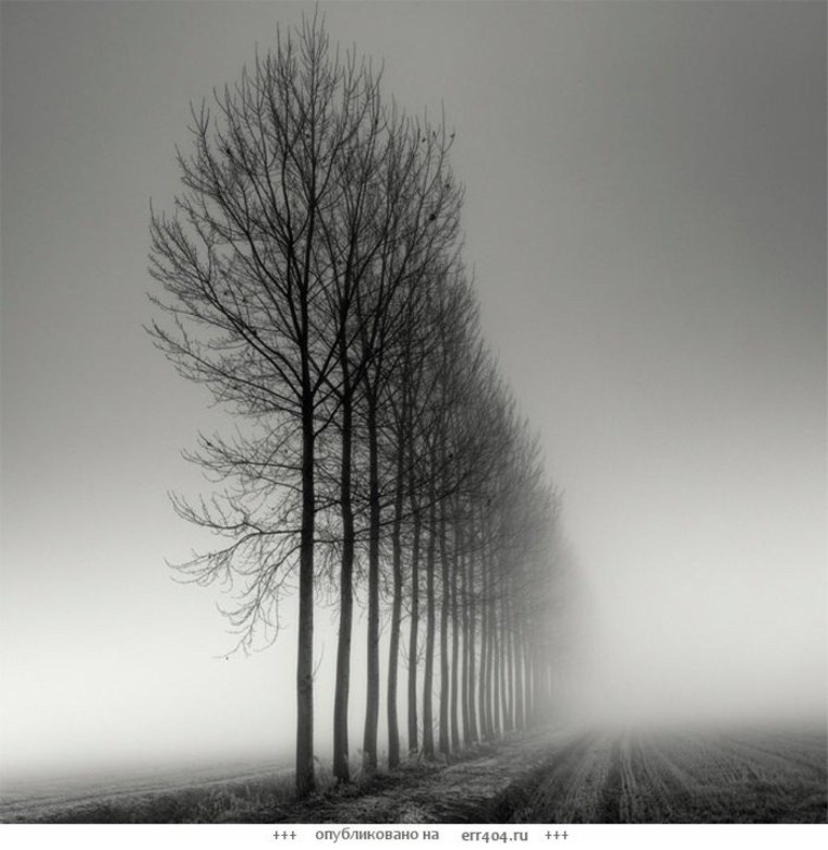 Пейзаж в черно белых тонах