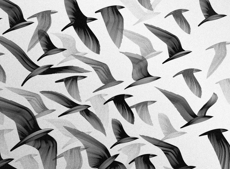 Паттерн птицы