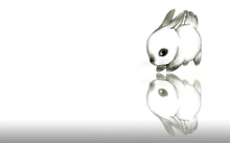 Собака на однотонном фоне