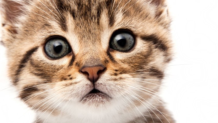 Аида Замора иллюстрации в хорошем качестве