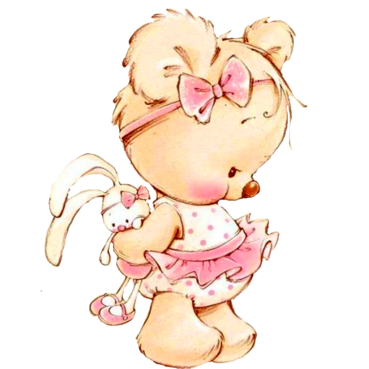 Енот на прозрачном фоне