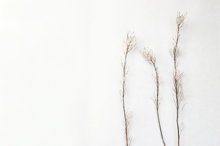 Фриланс Эстетика бежевый