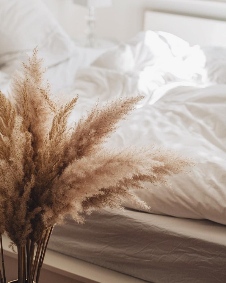 Пампасная трава