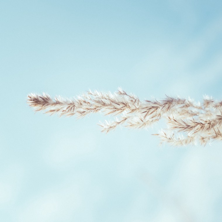 Океан Минимализм