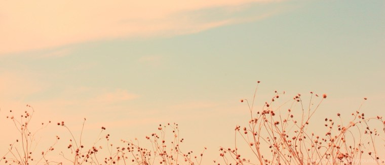 Фон для презентации Минимализм