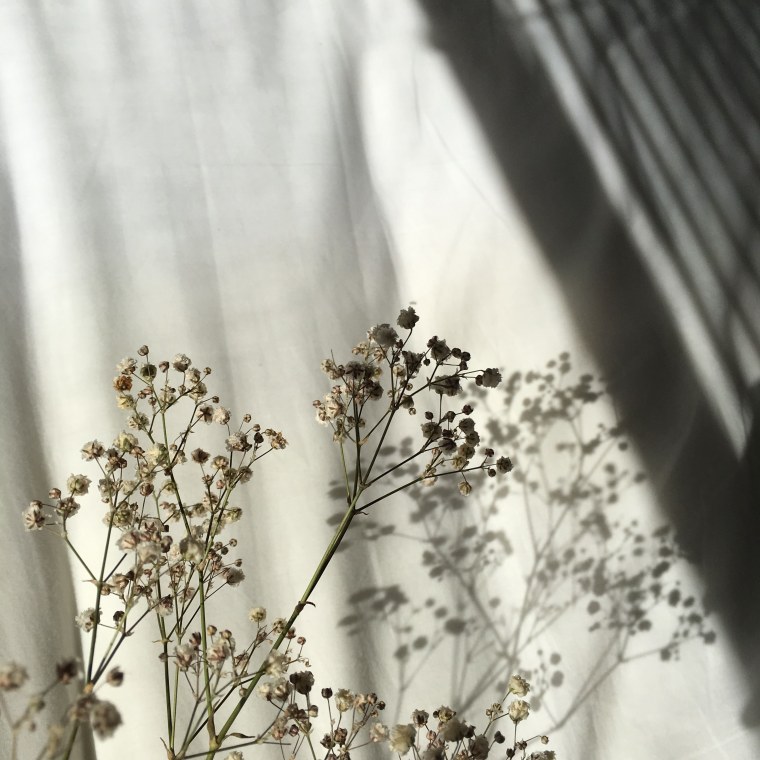 Бехха Эстетика