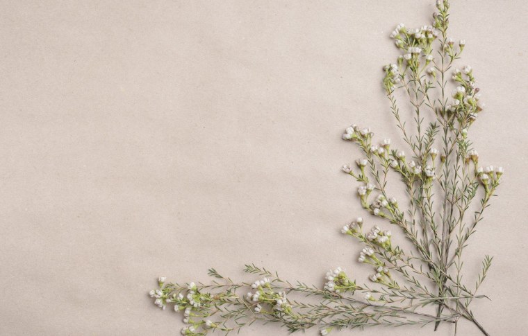 Кофейный стиль одежды