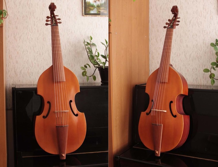 Виола да браччо музыкальный инструмент
