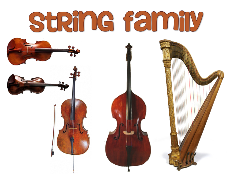 Смычковые музыкальные инструменты
