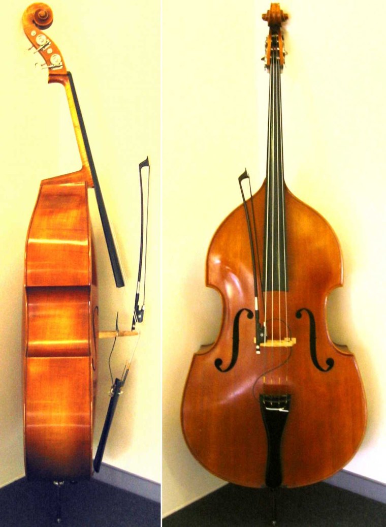 Струнные смычковые и Щипковые инструменты