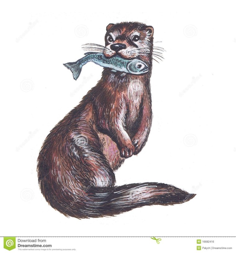 Рисование Речной выдры