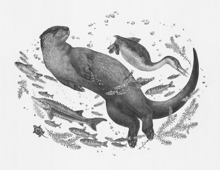 Выдра стилизация