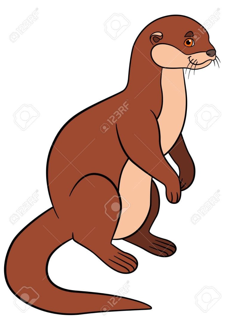 Выдра рисунок для детей