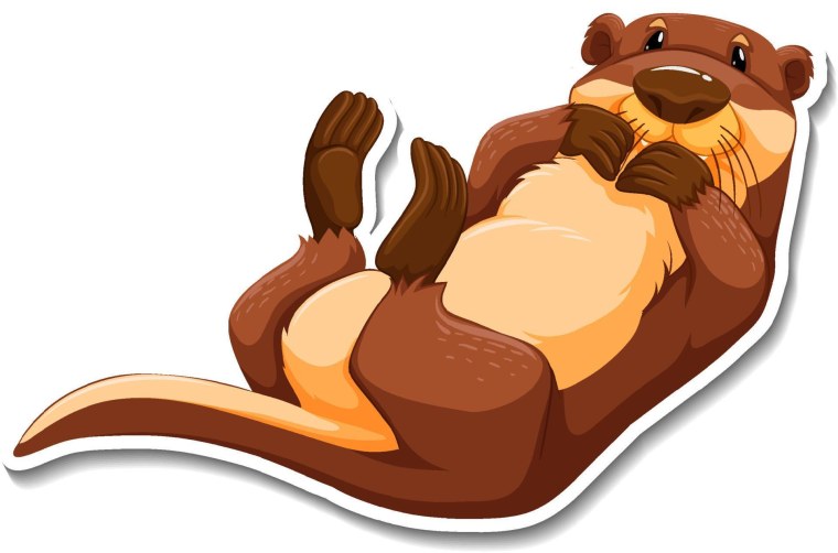 Бобр лежит на спине