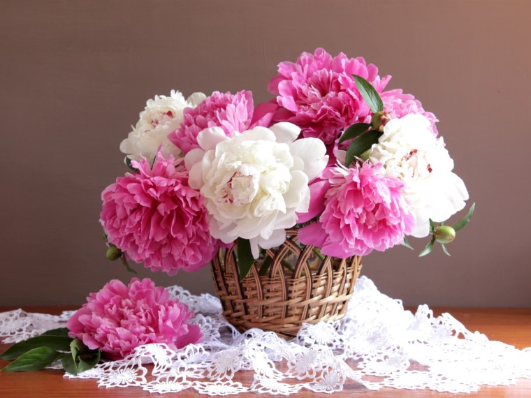 Елизавета Яшина нежные пионы