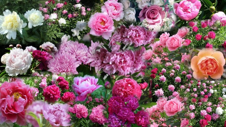 Букет с пионами