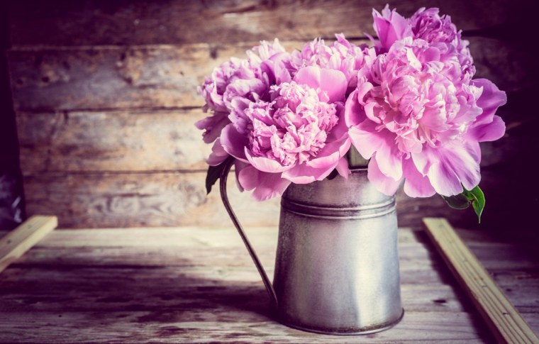 Пион нежно-розовый