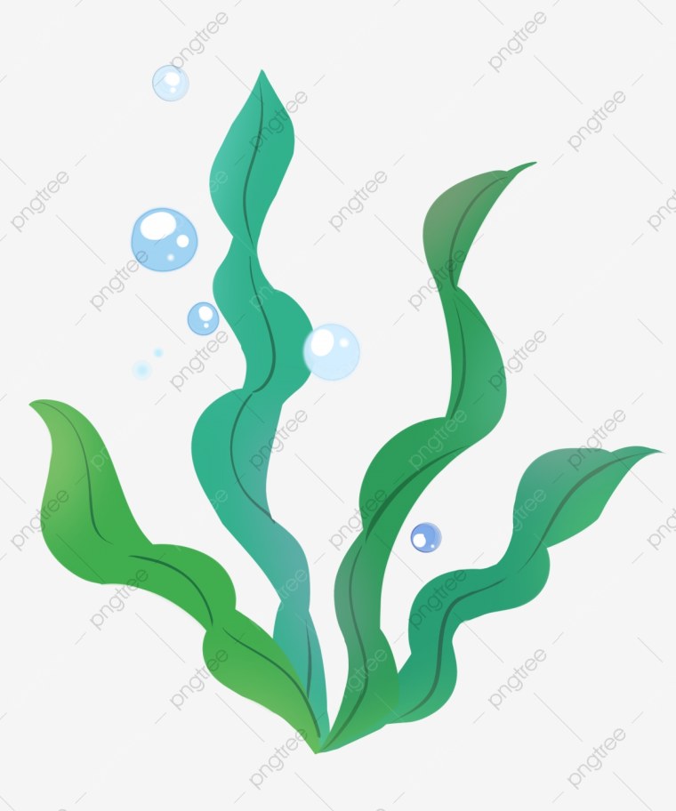 Водоросли мультяшные