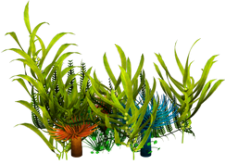 Векторные водоросли