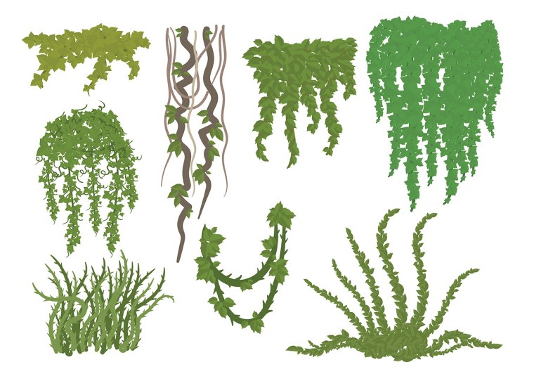 Водоросли мультяшные