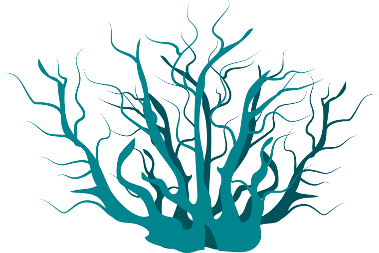 Водоросли мультяшные