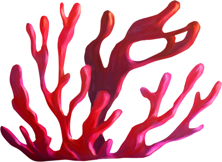 Морские водоросли акварель