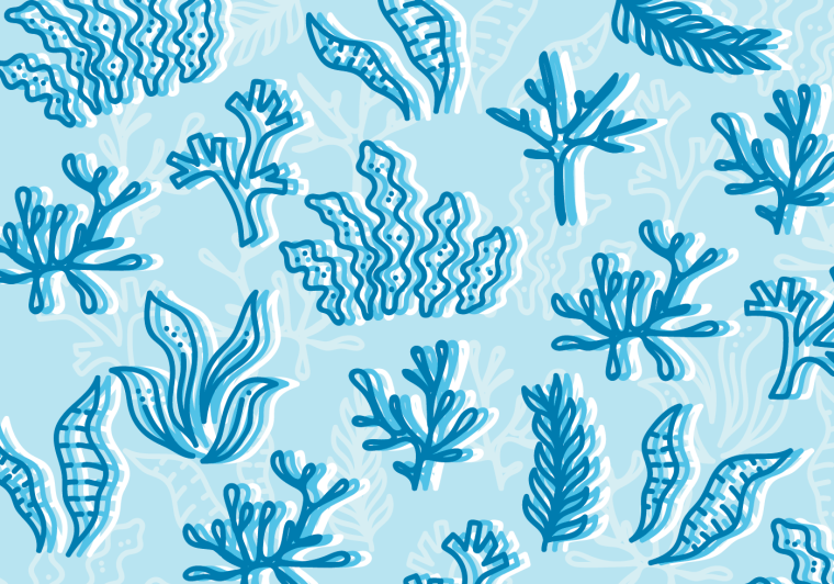 Водоросли узор